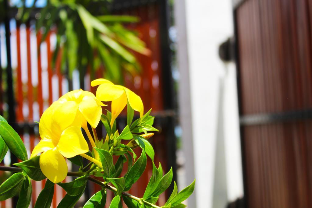 Surasa Beach Resort Weligama Buitenkant foto